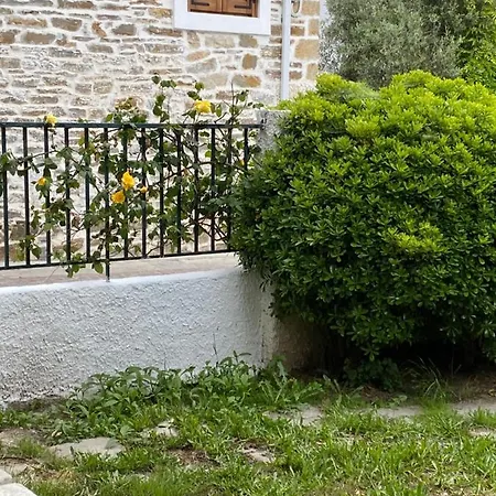 Apartment Petrino Agios Nikolaos (Chalkidiki)